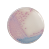 CHROMagar Salmonella