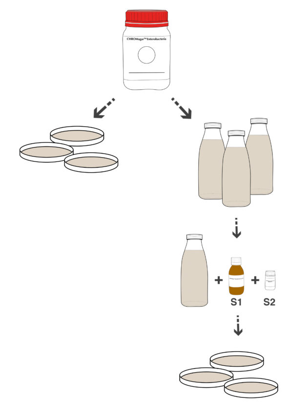 CHROMagar Enterobacteria