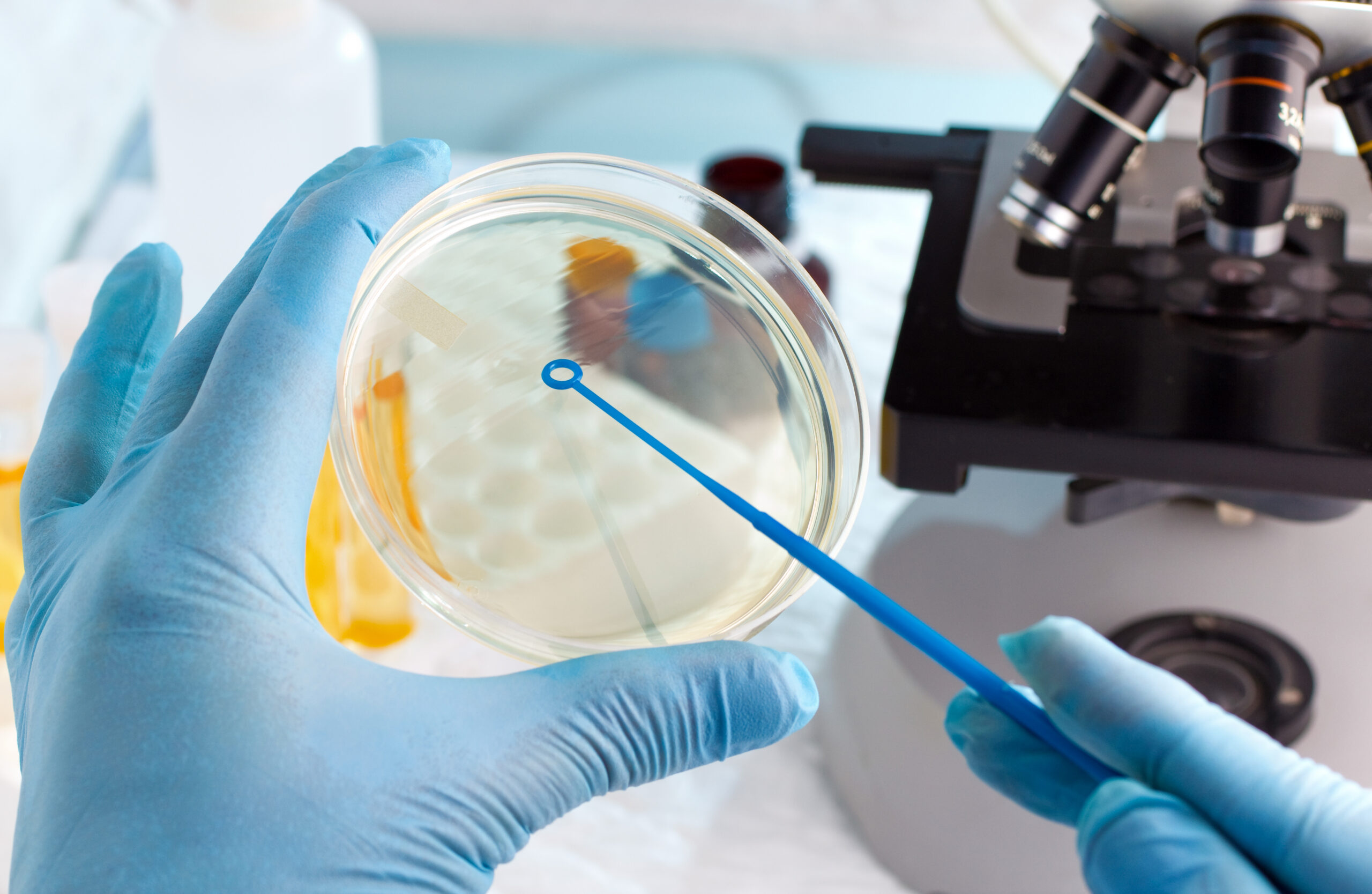 lab technician hand planting a petri dish